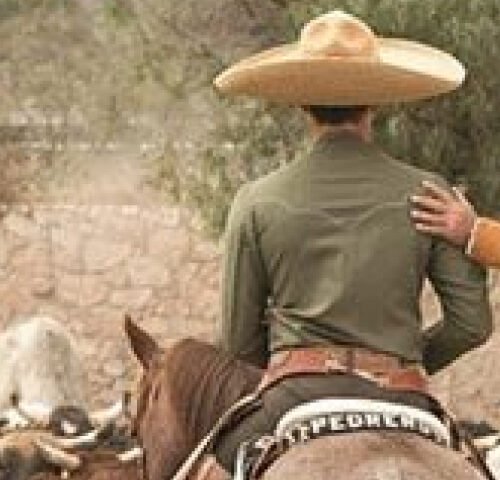 Charrería mexicana