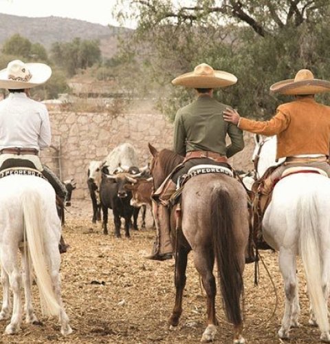 charros 4x5